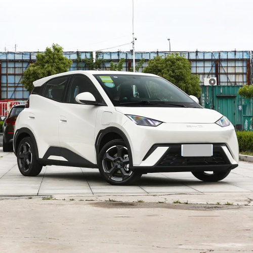 2023 Cheap BYD Seagull 2wd Small New Energy Vehicle Mini Electric Cars for sale