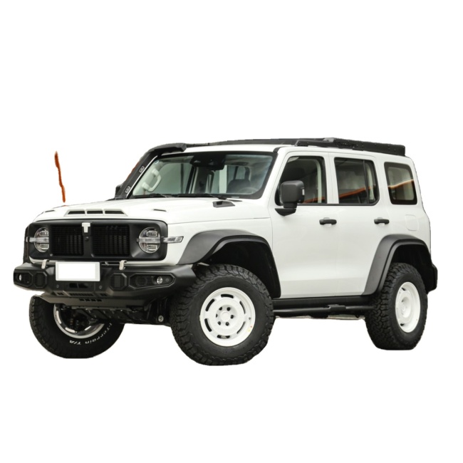 GWM Tank 300 Maximum Configuration Full Equipment Version Petrol Gasoline Cars
