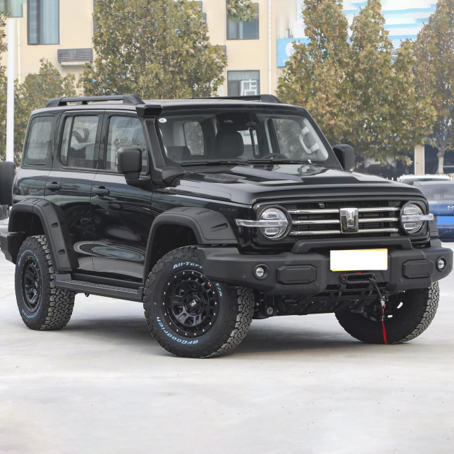 New 2023 China Great Wall Off-Road Tank 300 2.0T 4wd Gasoline Petrol Suv Car