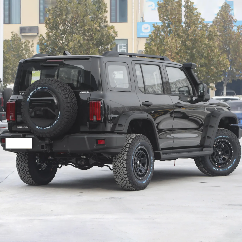 New 2023 China Great Wall Off-Road Tank 300 2.0T 4wd Gasoline Petrol Suv Car