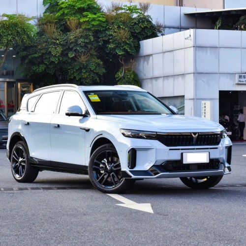 Low Price China Voyah Free 2023 5Seats Ev Car 1.5T Hybrid New Energy Vehicle Electric Car Voyah Free