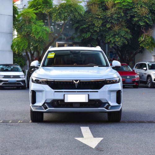Low Price China Voyah Free 2023 5Seats Ev Car 1.5T Hybrid New Energy Vehicle Electric Car Voyah Free