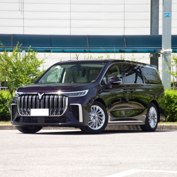 Lowest Price 4 Wheel Electric Car Voyah Dreamer 0 Carbon 2023 EV New Energy Vehicles New Cars