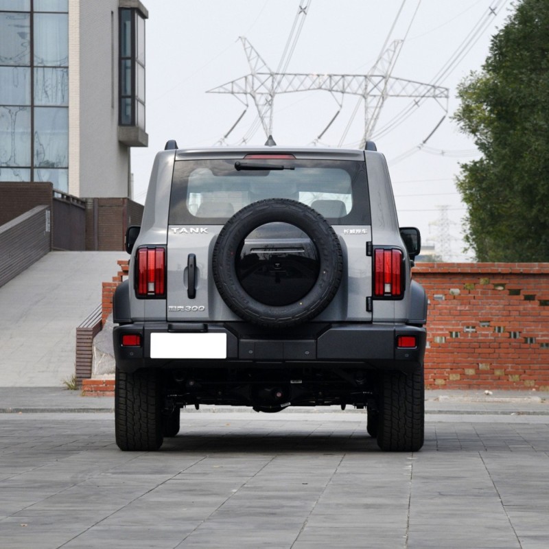 2023 New China 4 Wheel Petrol Gasoline Gwm Great Wall 4WD Tank 300 Suv Car