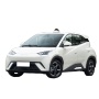 Low Price Chinese Byd Seagull Free Version 2wd 4 Wheel Small Mini Byd Ev Electric Cars
