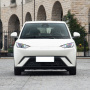 Low Price Chinese Byd Seagull Free Version 2wd 4 Wheel Small Mini Byd Ev Electric Cars