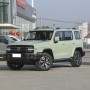 2023 China Sport Petrol Car Cars Tank 300 SUV