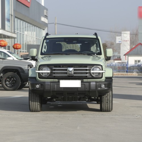 2023 Cheap Suv GWM Tank 300 2.0T 5 Seater Gasoline Petrol Car For Adult