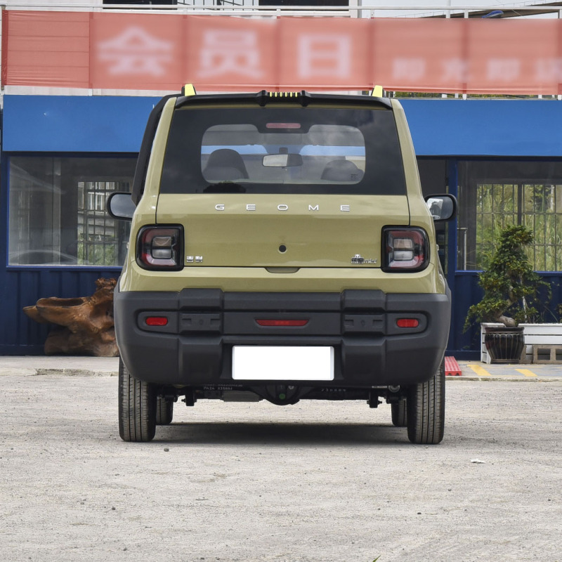 Cheap Price Small Adult 2WD EV Car Geely Panda Mini Knight Electric Car For Elderly