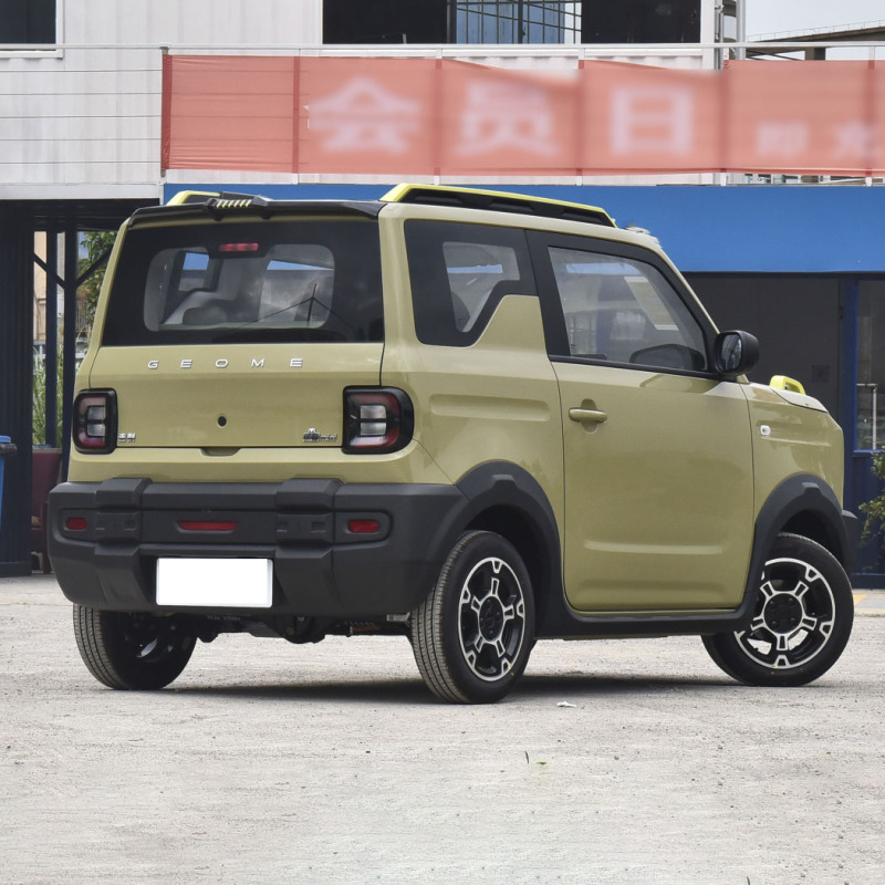 Cheap Price Small Adult 2WD EV Car Geely Panda Mini Knight Electric Car For Elderly