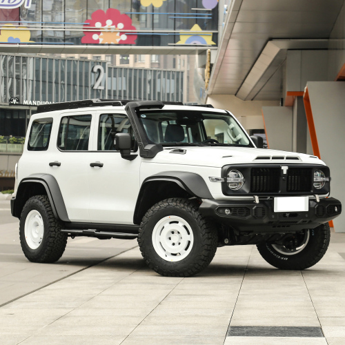 Hot Sell Gwm Tank 300 500  4x4 Adult Suv 4 Wheel Petrol Gasoline New Car Tank 300