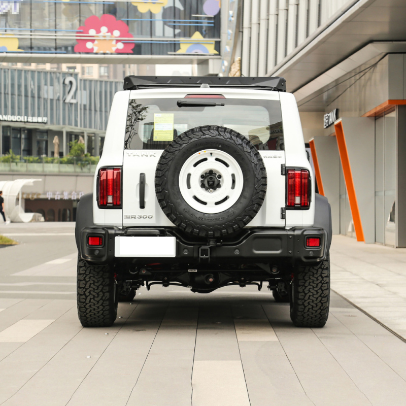 Hot Sell Gwm Tank 300 500  4x4 Adult Suv 4 Wheel Petrol Gasoline New Car Tank 300