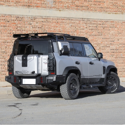 Jetour traveler 2024 2.0T four-wheel drive Silver Dragon Wings