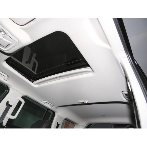 Tank 300 SUV 2024 model 2.0T challenger