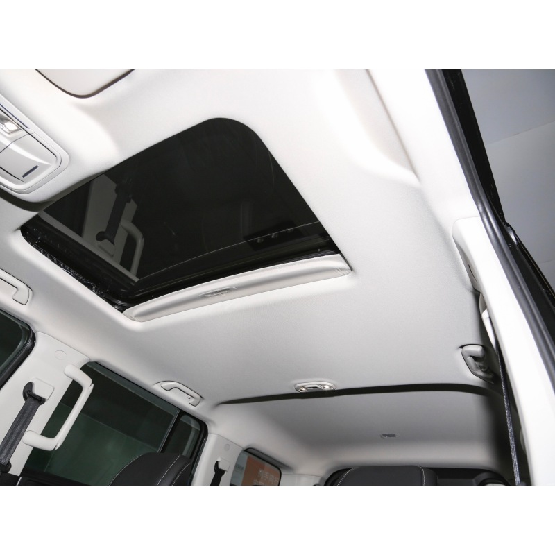 Tank 300 SUV 2024 model 2.0T challenger