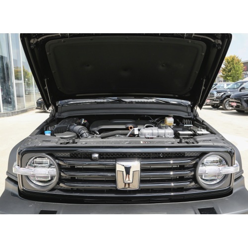Tank 300 SUV 2024 model 2.0T challenger