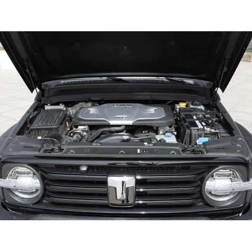 Tank 300 SUV 2024 model 330 3.0T