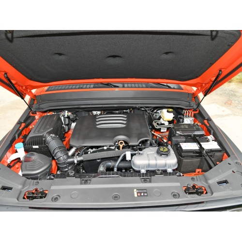 Tank 300 SUV 2024 model 2.0T Conqueror