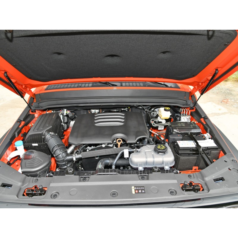 Tank 300 SUV 2024 model 2.0T Conqueror