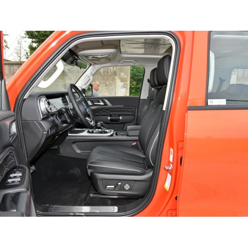 Tank 300 SUV 2024 model 2.0T Conqueror