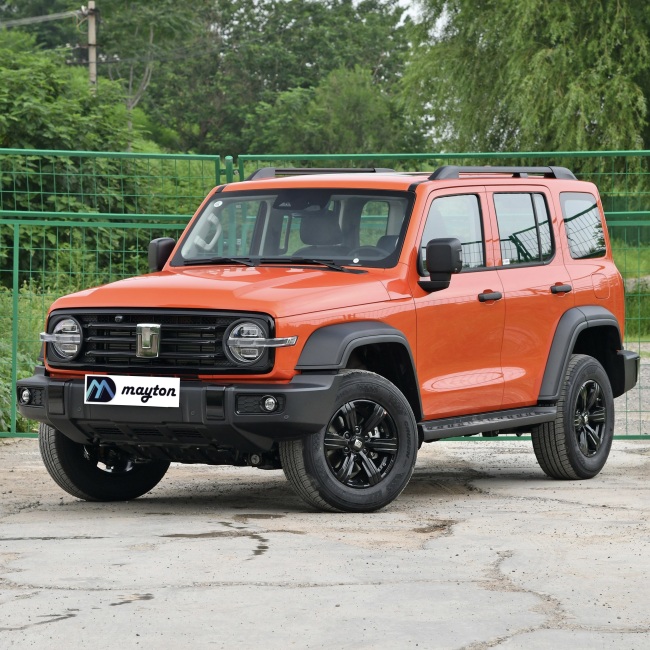 Tank 300 SUV 2024 model 2.0T Conqueror