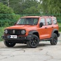Tank 300 SUV 2024 model 2.0T Conqueror