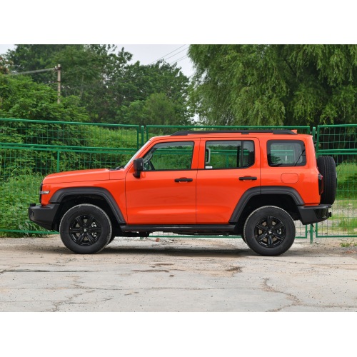 Tank 300 SUV 2024 model 2.0T Conqueror