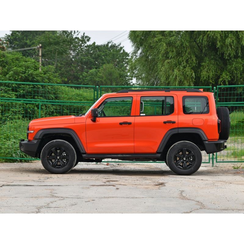 Tank 300 SUV 2024 model 2.0T Conqueror