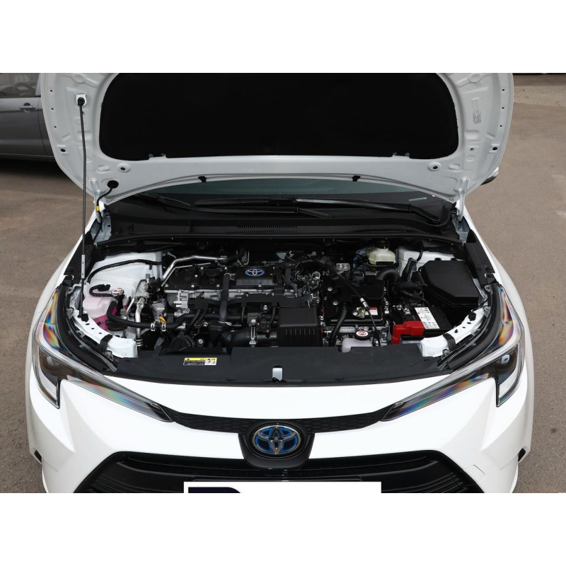 Toyota Levin 2024 model