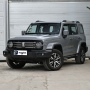 Tank 300 SUV 2024 model 2.0T