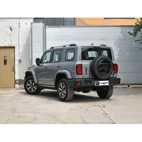 Tank 300 SUV 2024 model 2.0T