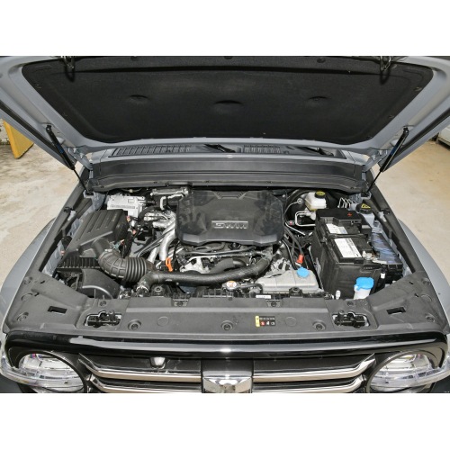 Tank 300 SUV 2024 model 2.0T