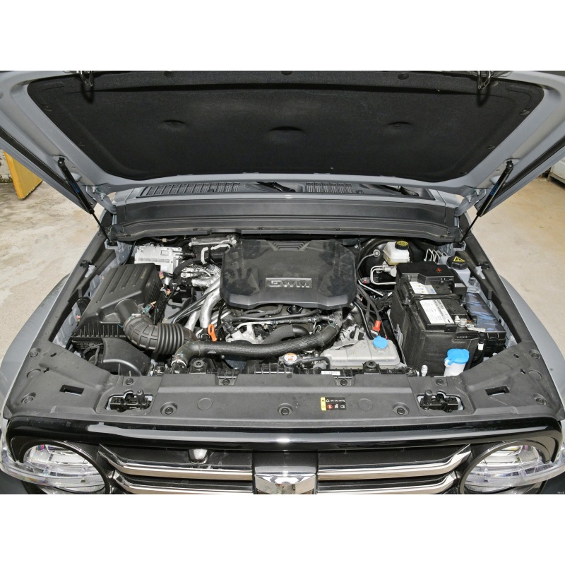 Tank 300 SUV 2024 model 2.0T