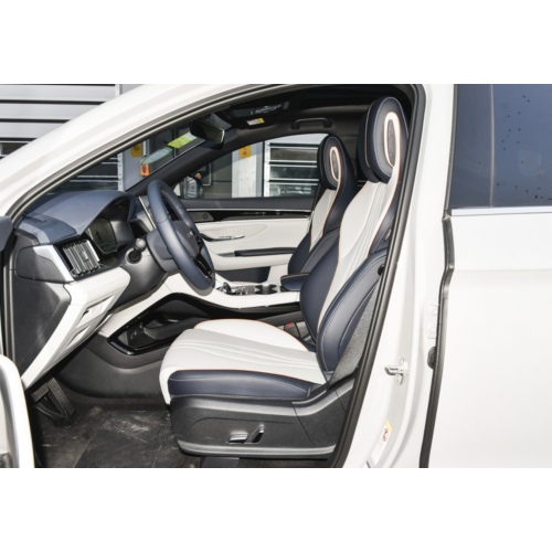 BYD Song Plus 2024 Honor Edition EV 520km Premium Type