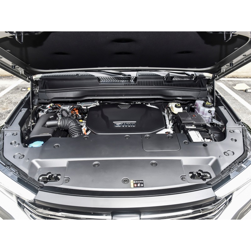 Tank 400 SUV 2024 model Hi4-T City edition
