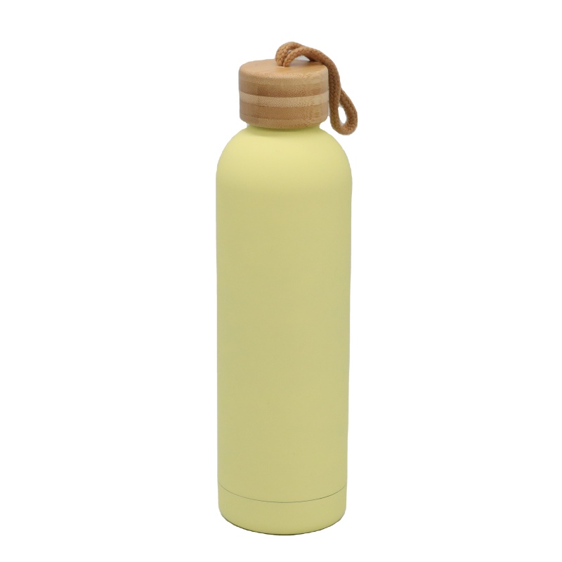 Hot Selling Vaccum Insulated Thermos 350/500/750ml Rubber Coated Double Wall Stainless Steel Water Bottles with Lid