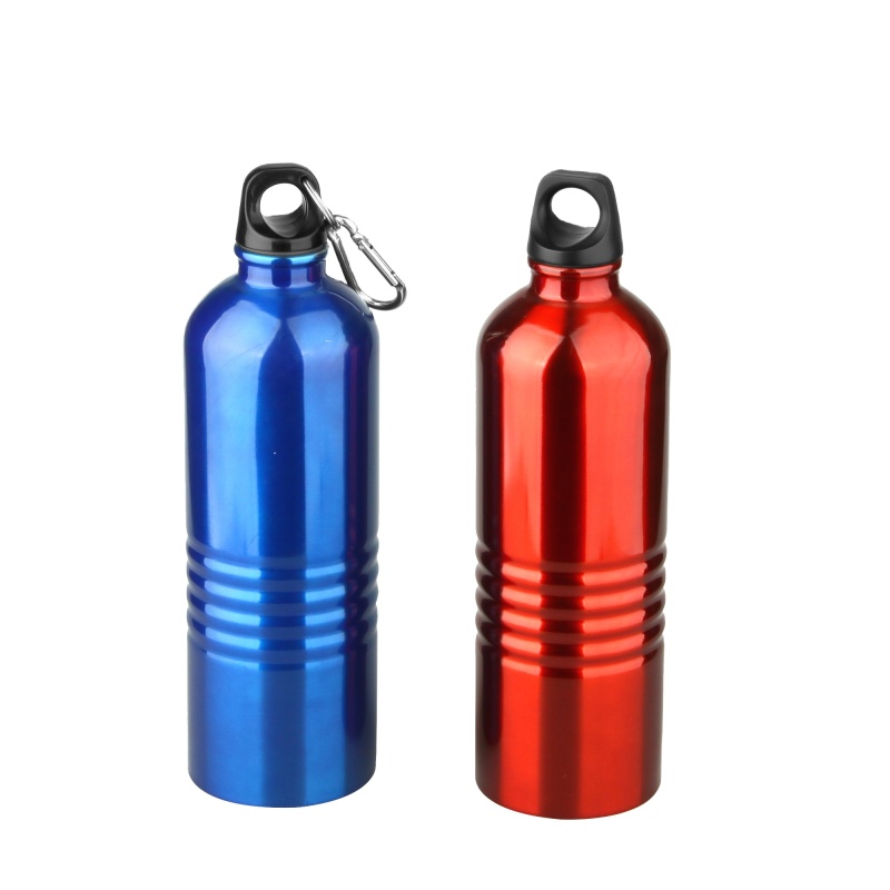 High Quality Double Wall Narrow Mouth Stainless Steel Insulated Travel Sports Water Bottle With Handle and lid