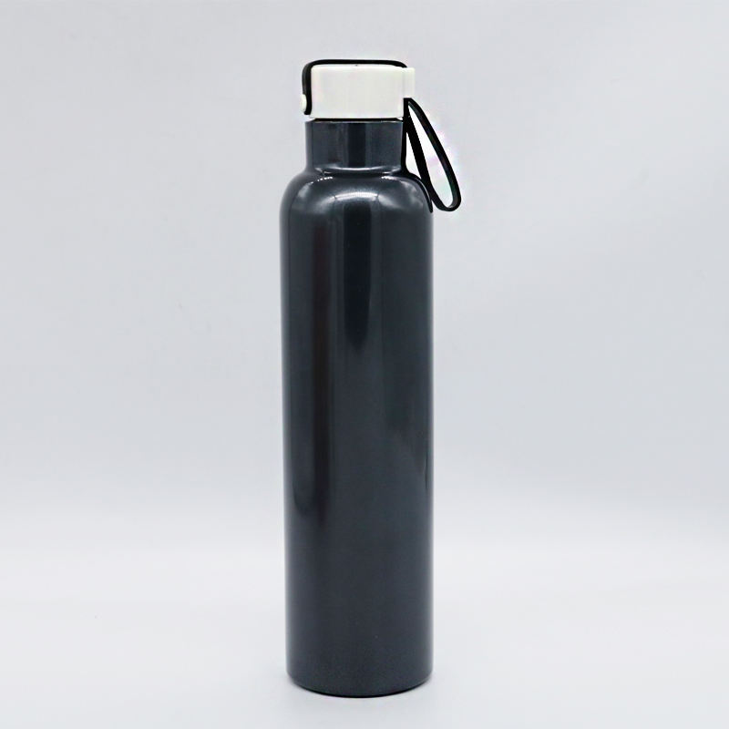 New Arrival 750ml Stainless Steel Travel Sport Bottle Double Wall Vacuum Thermos Bottle With Handle Lid