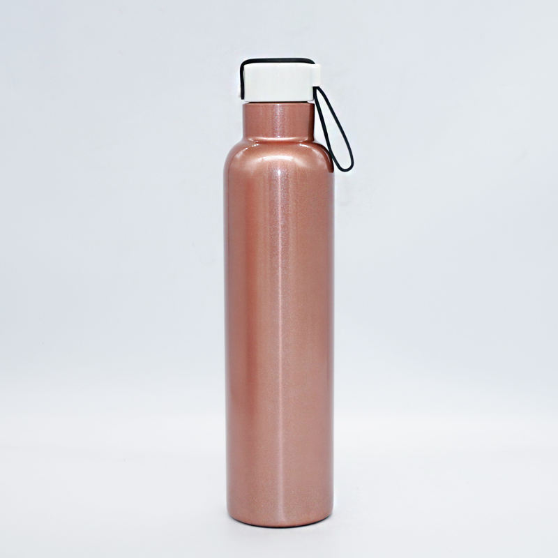 New Arrival 750ml Stainless Steel Travel Sport Bottle Double Wall Vacuum Thermos Bottle With Handle Lid