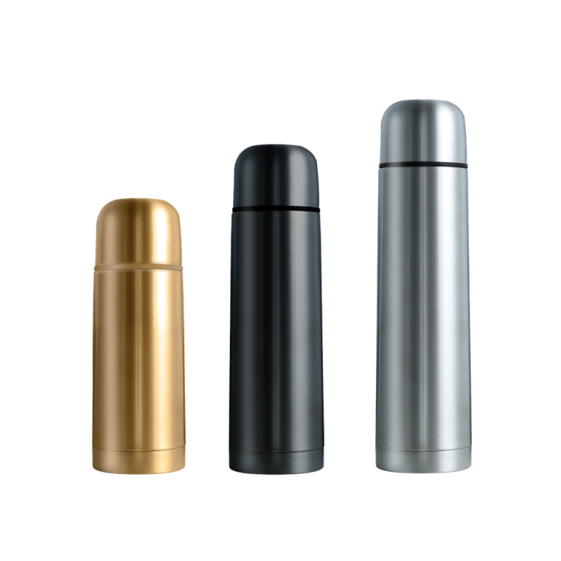 Stainless Steel Double Wall Vacuum Flask Insulated Thermos Bullet Shape Water Bottle