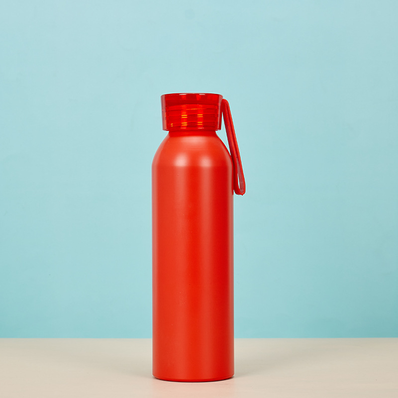 Custom bisphenol free A 500ml sports aluminum water bottle