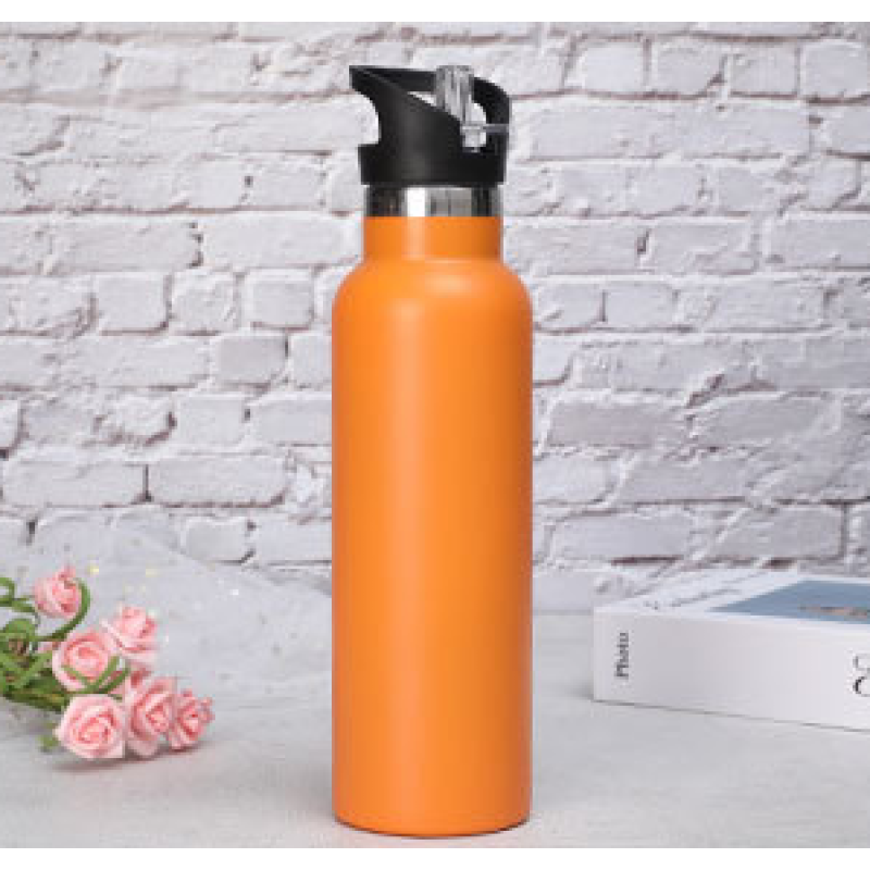 Stainless Steel Insulated Double Wall Vacuum Insulated Water Bottle Sports Custom Logo Vacuum Flask