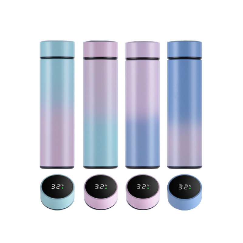 500ml Smart Water Bottle Vacuum Insulated Smart Insulated Flasks With Temperature Display Lid