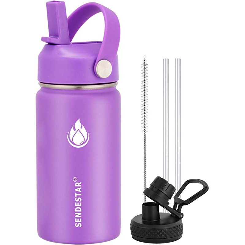 Thermo Flask Double Wall Vacuum Insulated Stainless Steel Kids Water Bottle with Straw Lid