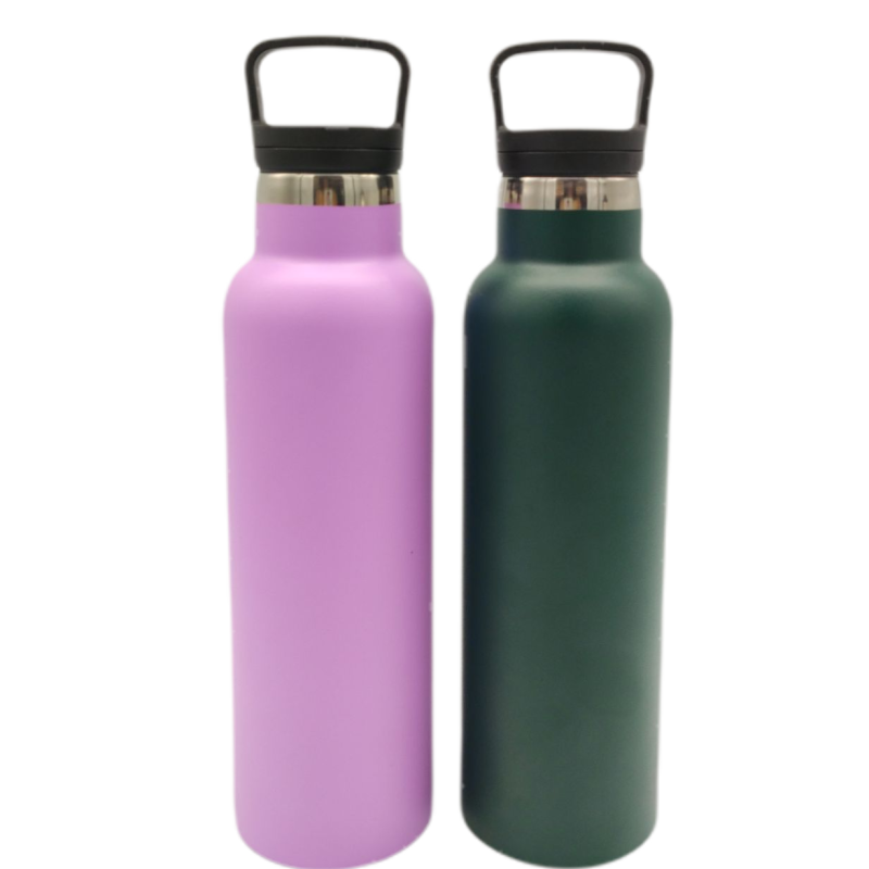 Modern Double Walled Thermos Flasks Thermo Bottle Design Thermos bottle