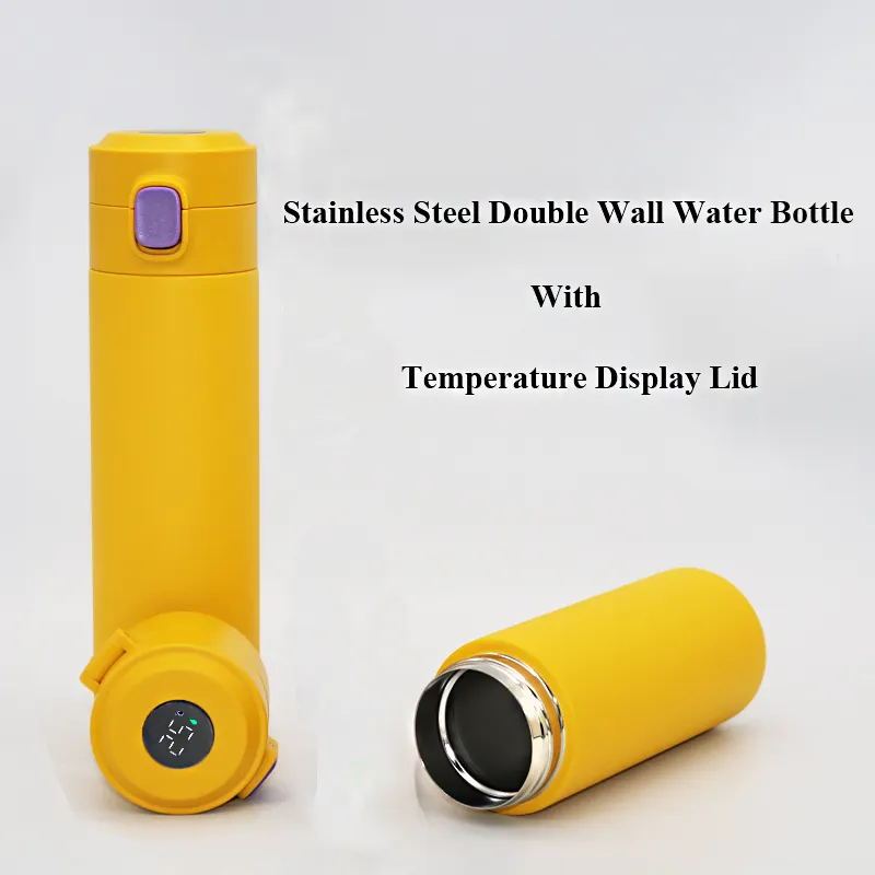 Eco-friendly BPA-free smart water bottle with temperature display