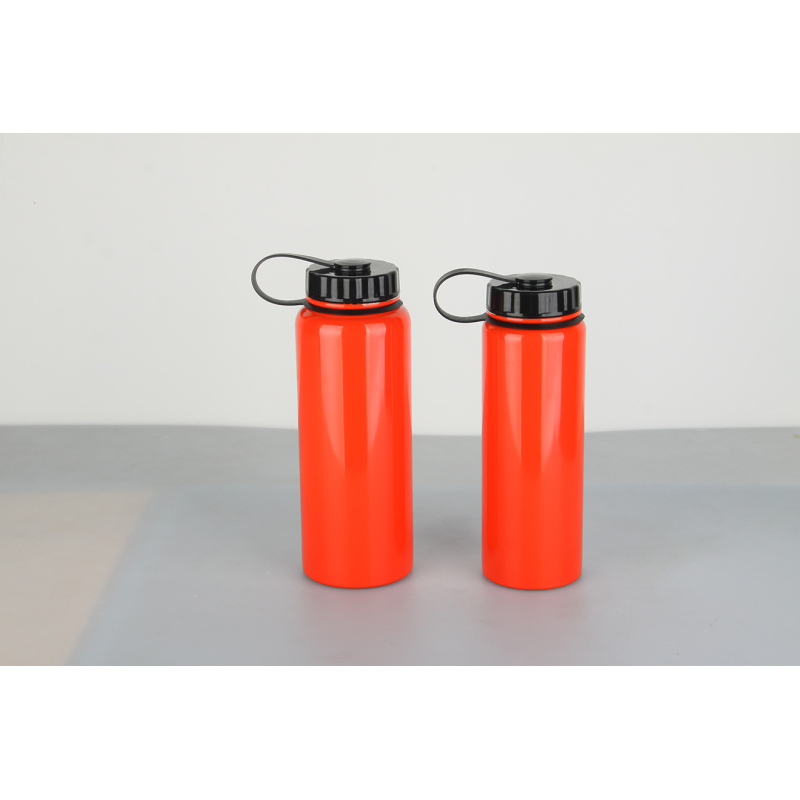 High quality single layer stainless steel travel water bottle with handle lid