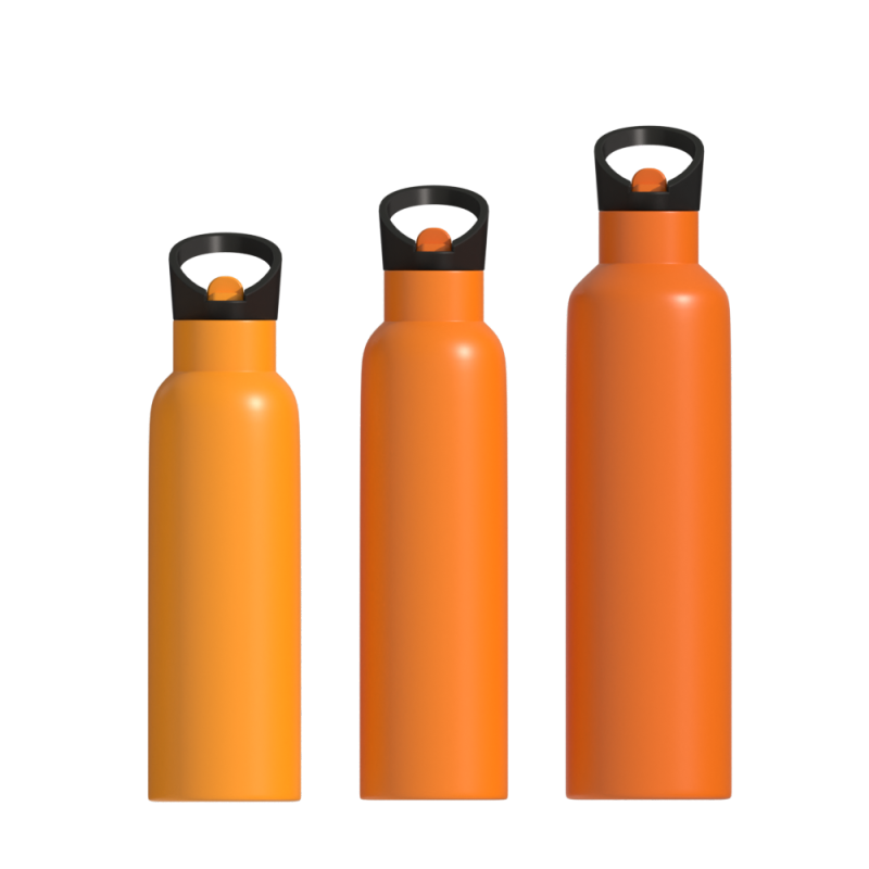 Stainless Steel Insulated Double Wall Vacuum Insulated Water Bottle Sports Custom Logo Vacuum Flask
