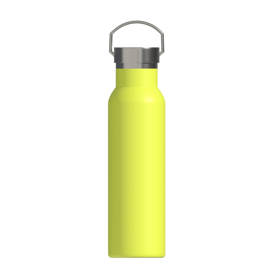 Stainless Steel Water Bottle