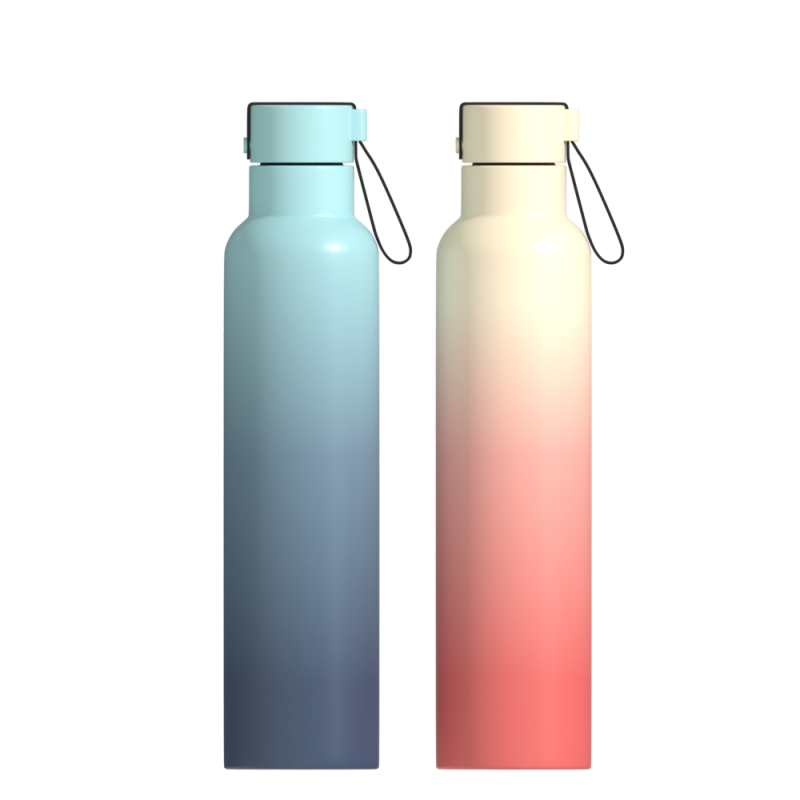 Custom Sport Double Wall Vacuum Flask Insulated Stainless Steel Vacuum Flasks & Thermoses Water Bottle